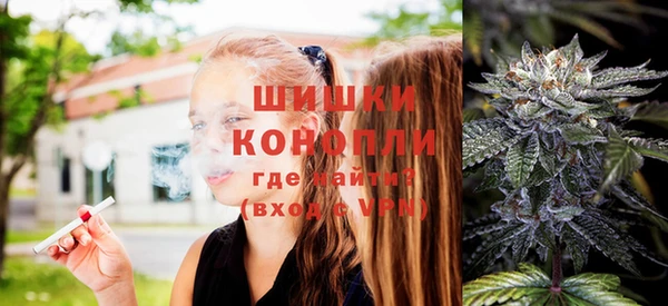 Альфа ПВП Няндома