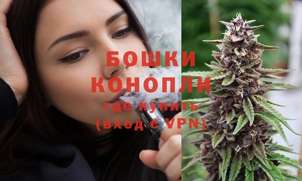Альфа ПВП Няндома