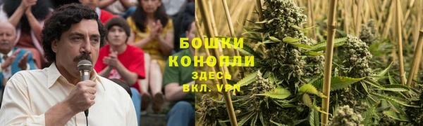 PSILOCYBIN Нягань