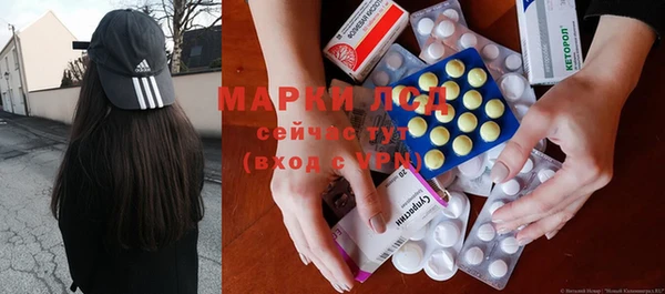 шишки Новокубанск