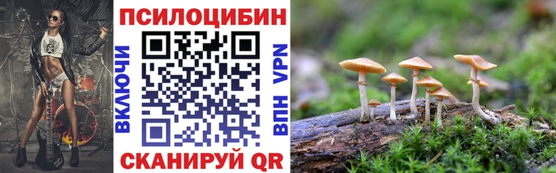 наркотики  Котлас  Псилоцибиновые грибы прущие грибы 