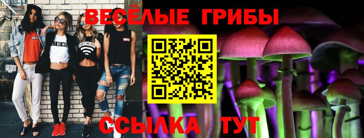 Котлас  Галлюциногенные грибы GOLDEN TEACHER  наркота  Псилоцибиновые грибы Psilocybine cubensis  Вход с VPN 