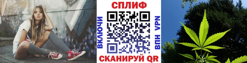 Бошки марихуана семена кракен ссылки Котлас купить сайты